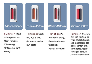 เครื่อง Taibo Beauty Desktop DPL SPA Photofacial สำหรับกำจัดขนบนใบหน้าและผิวกาย ช่วยให้ผิวขาวกระจ่างใส ฟื้นฟูสภาพผิว <span class=keywords><strong>รักษา</strong></span><span class=keywords><strong>สิว</strong></span> และทำความสะอาดผิวหน้า - Product Image 5