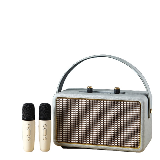 Sound Box Karaoke Machine for Adults Portable Karaoke Speaker with Two Wireless Microphones Professional Loudspeaker