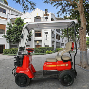 Triciclo Elettrico a <span class=keywords><strong>4</strong></span> <span class=keywords><strong>Ruote</strong></span> con Carrozzeria Chiusa per Adulti, Prezzo di Fabbrica, Velocità 30KM/H, Motore 48-60V, 2 Posti - Product Image 4