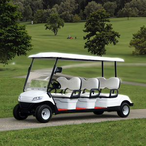 Carrito de <span class=keywords><strong>golf</strong></span> eléctrico de turismo escénico con 8 asientos, batería de 48V, motor de 2 tiempos, construcción de acero duradero para hoteles, Campus, <span class=keywords><strong>casas</strong></span> - Product Image 5