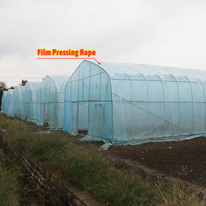 Grande <span class=keywords><strong>serre</strong></span> à arche double couche en PE pour légumes, avec une transmission lumineuse élevée à l'intérieur et une protection anti-UV contre l'ombrage - Product Image 3