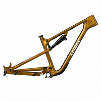 Cadre de VTT tout suspendu en carbone 29 pouces, débattement de 120 mm, cadre de VTT de montagne XC Trail, Boost 148 UDH OEM