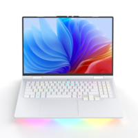 Ordinateur portable de jeu 16 pouces, Intel Core i5-13500H de 13e génération, RTX3050, 12 cœurs, 16 threads, 16 Go de RAM, 165 Hz, rétroéclairage RVB, PC barebone, prise US/UK