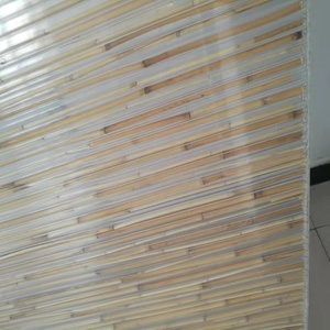 Bán Buôn Polycarbonate + Tre 8Mm Tấm Sử Dụng Mái Bóng Nội Thất Phân Vùng - Product Image 2