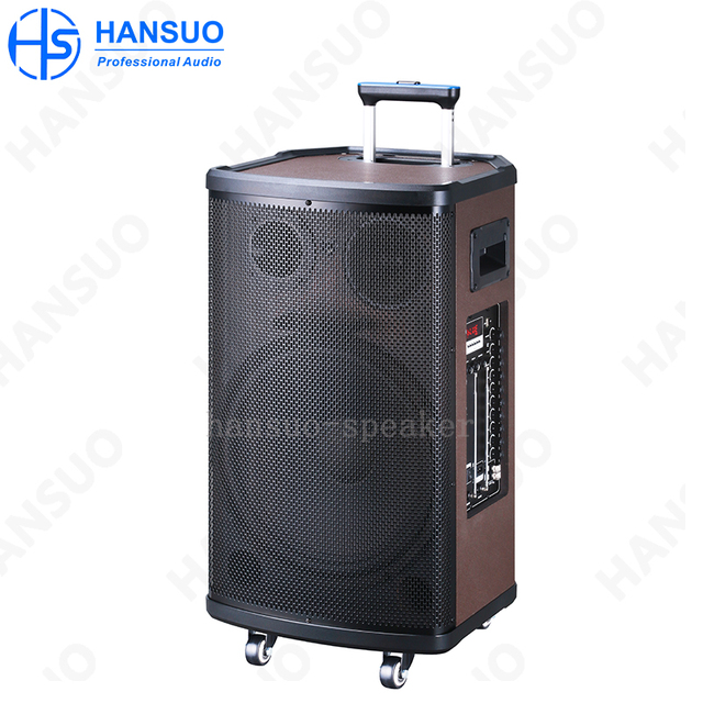 Single 15 Inch Media 80W High Power Portable Speaker HS-TS1511