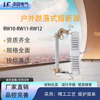 Fusible de coupure haute tension 12kV 24kV 36kV modèle RW pour la protection électrique 100/200A 50/60Hz