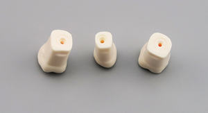 Dientes permanentes dentales con raíces rectas Anatomía Corona - Product Image 4