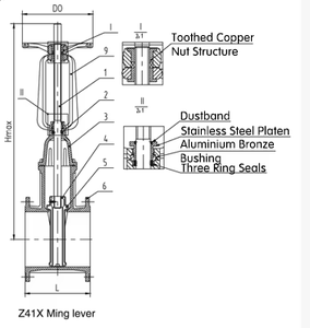 PN10 PN16 loại mặt bích tăng Van cổng niêm phong mềm gang dẻo tăng Van cổng gốc - Product Image 2