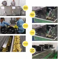 Ligne de production industrielle CE pour la fabrication automatique de gaufrettes croustillantes de plantain (chifles) et de chips de banane, capacité 100 à 500 kg/h