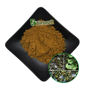 Nhà máy cung cấp chất lượng cao tinh khiết tự nhiên địa y usnea chiết xuất địa y usnea chiết xuất bột - Product Image 1