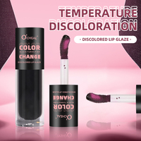 Gloss à lèvres changeant de couleur en gros, hydratant, longue tenue, repulpant, texture lisse, teinte brillante, soin des lèvres