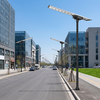 Lampe solaire LED pour rue à silicium monocristallin 250W avec fonction marche/arrêt automatique, construction en alliage d'aluminium, étanche IP66, pour extérieur