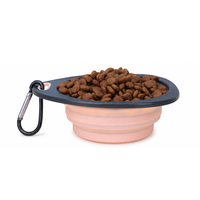 Bol pliable pour animaux de compagnie personnalisé avec mousqueton, bol de voyage pliable en TPR pour chien pour nourriture et eau