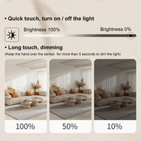 Interrupteur à capteur tactile à induction caché 12V 24V DC 5A 60W pour éclairage LED de meubles de placard