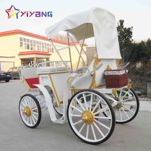 <span class=keywords><strong>Chariot</strong></span> à chevaux électrique unique <span class=keywords><strong>chariot</strong></span> à chevaux magique pour princesse transport à <span class=keywords><strong>cheval</strong></span> élégant pour toutes les occasions - Product Image 6