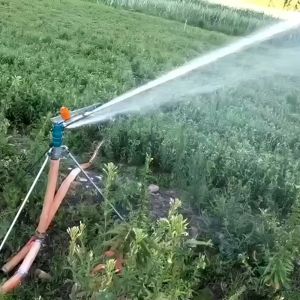 <span class=keywords><strong>Rainmaker</strong></span> Yuzuak Jet 50 Arroseur à percussion en métal et laiton durable pour la distribution d'eau d'irrigation de jardin - Product Image 6