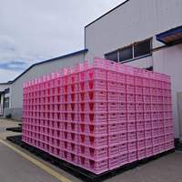 Caisse de transport d'œufs de poule empilable, caisse à œufs, caisse de manutention d'œufs, panier de transport d'œufs en plastique pour élevage avicole