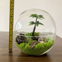 18cm Design Moderne Dôme Cloche Vase En Verre avec Base pour Hydroponique Mousse Mini Nature Plantes Table Présentoir Centre De Table