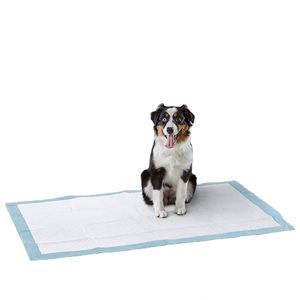Les fabricants promeuvent les coussinets absorbants portables pour animaux de compagnie en tissu, exportations croissantes de manière considérable depuis 5 ans - Product Image 2