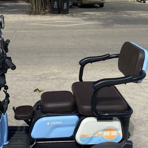Top and Popular 35 Km/H Trike Folding Bike Foldable for the Passenger Adult - Product Image 5