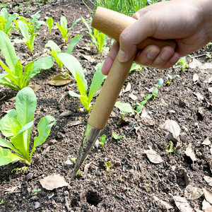 Perforador de jardín en forma de T, herramienta manual de plantación con mango de madera cromado para verduras y semillas - Product Image 4