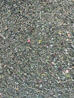 Herbe à chat écrasée de haute qualité avec feuille et tige pour chat herbe à chat fraîche en vrac