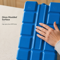 Glacière portable en plastique HDPE Blue Leopard 200 ml, étanche, pour boissons fraîches et usage extérieur