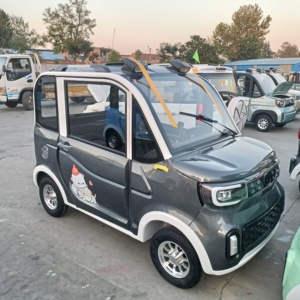 Offerta Speciale: Mini Auto Elettrica a Quattro Ruote Economica per Adulti, Veicolo a Nuova Energia Prodotto in Cina - Product Image 4