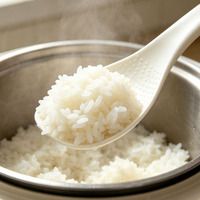 Ensemble de deux cuillères à riz en plastique, blanc translucide, manche incurvé, résistant à la chaleur, antiadhésif, pour service au cuiseur à riz