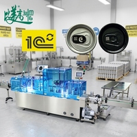 Machine de codage laser à fibre automatique BMG pour les couvercles de canettes en aluminium avec refroidissement par eau CNC, gravure stable et de haute précision en continu