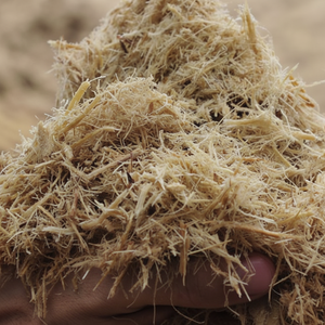 Envío rápido de materia prima de bagazo de caña de azúcar seca para contenedores de alimentos de pulpa desechable fabricados en Vietnam - Product Image 1