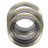 Joint enroulé en spirale de précision ASME B16.20 SS317L avec enroulement en graphite, haute compression et récupération, pour l'industrie pétrochimique