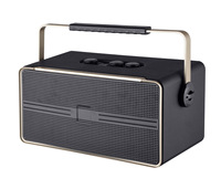 Subwoofer personnalisé WL-500 avec fonction karaoké, haute puissance, grande batterie, autonomie de 8 heures, utilisation domestique