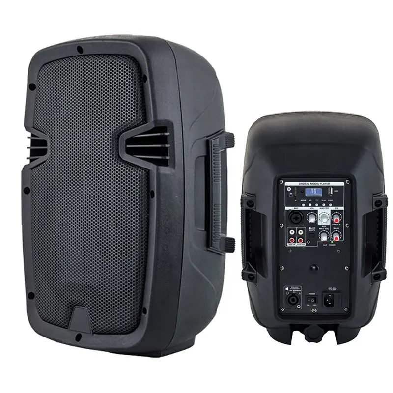 Cafele-kit professionnel de karaoké, 2 voies, 8 pouces, 300W, avec système de son pour haut-parleur PA, bluetooth, USB SD, TWS, FM, ECHO, micro