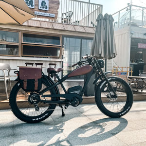 BSKS16 1000W 750W <span class=keywords><strong>Fatbike</strong></span> <span class=keywords><strong>Pro</strong></span> Double Batterie Vélo Électrique <span class=keywords><strong>Fatbike</strong></span> Entrepôt Américain <span class=keywords><strong>26</strong></span>.0x4.0 Pneu Gros Électrique Vélo - Product Image 1