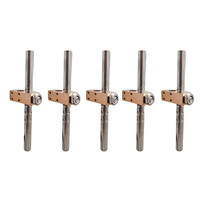Tornillo de Avance Recíproco de Acero Inoxidable 304 con Tuerca de Latón/Acero para Equipos de Impresión, Niquelado, 200 Nm Torque Máximo, T10*10
