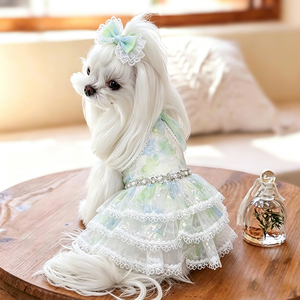 Robe légère pour <span class=keywords><strong>chien</strong></span>, petite taille, motif floral <span class=keywords><strong>Papillon</strong></span>, jupe tutu princesse pour animaux de compagnie, pour chats et chiots, vêtements d'été respirants pour <span class=keywords><strong>chien</strong></span> femelle - Product Image 6