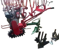 Cultivadores Tractor caminante agrícola Tiller Personalización Diesel Power Farm Mini Cultivador rotativo Weeding Power Tiller