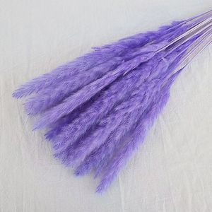 Offre Spéciale : 15 Pampas Naturelles Moelleuses de 60 cm pour Décoration de Mariage - Product Image 4