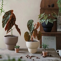 Pot de fleurs en argile moderne et simple pour orchidées, begonias, succulentes et légumes racineux - Nouveau produit - Bestseller