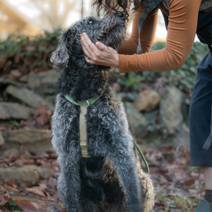 2 Hounds Design Freedom Arnés para perros sin tirones Ajustable Control suave y cómodo para caminar fácilmente al perro - Product Image 5