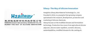 סילווי 5041 דימתיסיליקון אלסטומר סיליקון אלסטומר תערובת סיליקון לטיפול בעור - Product Image 6