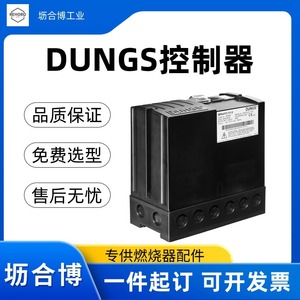 Contrôleur de détecteur de fuite de gaz DUNGS VPM-VC 220V dédié aux systèmes de brûleurs - Product Image 2