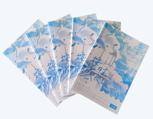 Tùy chỉnh chuyên nghiệp chất lượng cao Album ảnh danh mục tài liệu quảng cáo thiết kế độc đáo màu sắc sách dành cho người lớn nghệ thuật in theo yêu cầu - Product Image 1