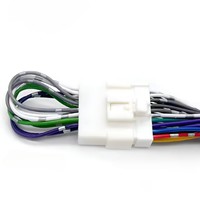 Connecteur personnalisé OEM d'usine faisceau de câblage audio automobile amplificateur Dsp faisceau de câbles ISO pour autoradio