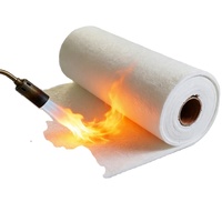 Couverture isolante en aérogel de silice 3mm 6mm 10mm 20mm, tapis thermique nano flexible ignifuge, taille personnalisée en rouleau