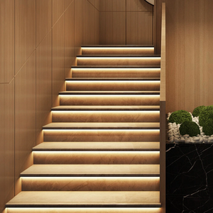 Tùy Chỉnh Không Thấm Nước Thay Đổi Độ Sáng Ra90 Ra80 5V 12V 24V COB LED Strip 3000K 4000K 6000K 3Mm 5Mm 8Mm COB LED Strip Ánh Sáng - Product Image 2