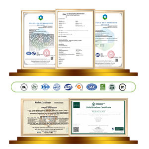 מפעל tianjia לספק תווית פרטית odm oem טעם צמח מבוסס חלבון אבקת משלוח מהיר - Product Image 6