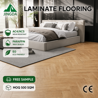 Parquet stratifié en chêne naturel à chevrons 8mm-12mm AC4 Résistant à l'usure Haute brillance pour penthouse de luxe, hôtel moderne, extérieur