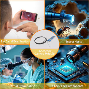 Module de caméra endoscopique vétérinaire SincereFull SF-C50USB-D1.6 1,6 mm 2MP OCHFA10 USB2.0 avec garantie de 10 ans pour petits animaux - Product Image 3